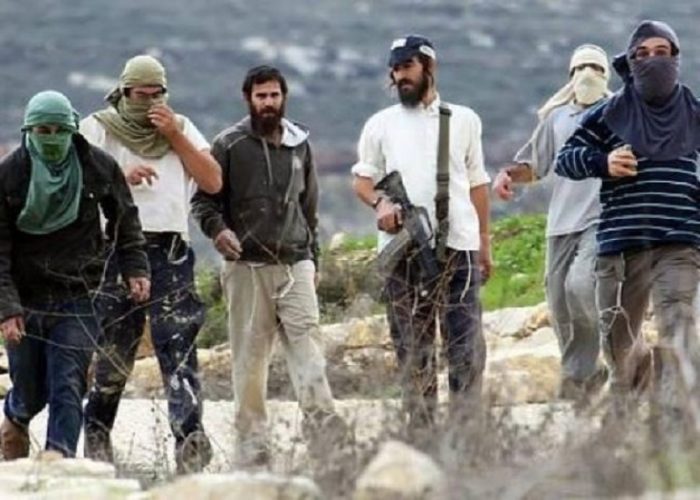 مستوطنون يعتدون على ممتلكات فلسطينيين شمال سلفيت