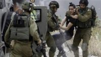 الاحتلال الإسرائيلي يعتقل 14 فلسطينيا بالضفة الغربية