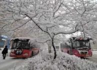 119 مليون خسائر نتيجة تساقط الثلوج بمقاطعة صينية