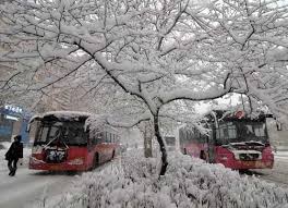 119 مليون خسائر نتيجة تساقط الثلوج بمقاطعه صينية