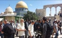 مستوطنون بقيادة المتطرف يهودا غليك يقتحمون الاقصى