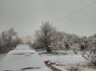 ثلوج غزيرة في جنوب المملكة .. وبعض مديريات التربية تعلن تعطيل مدارسها ثلوج غزيرة في جنوب المملكة .. وبعض مديريات التربية تعلن تعطيل مدارسها