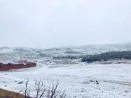 المناطق المرتفعة في عجلون تشهد تساقطا للثلوج
